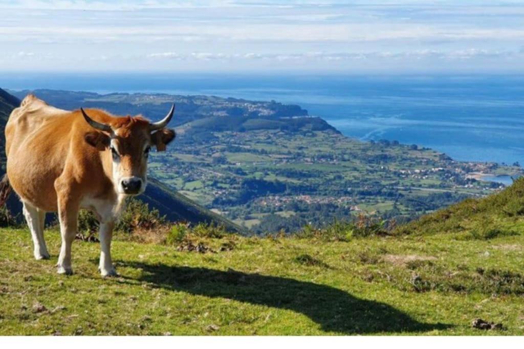 Casa Todah, Playas Y Montanas Duesos المظهر الخارجي الصورة